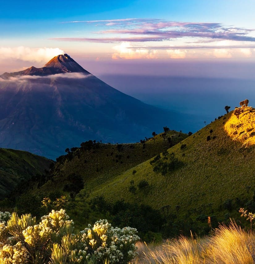 Traducciones técnicas de indonesio