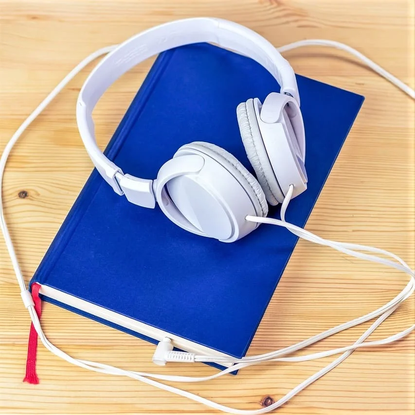 Le Ofrecemos una Recopilación de Datos de Audio que Incluye