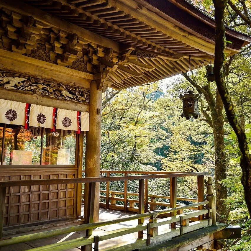 Traducción del español al japonés y del japonés al español en PoliLingua