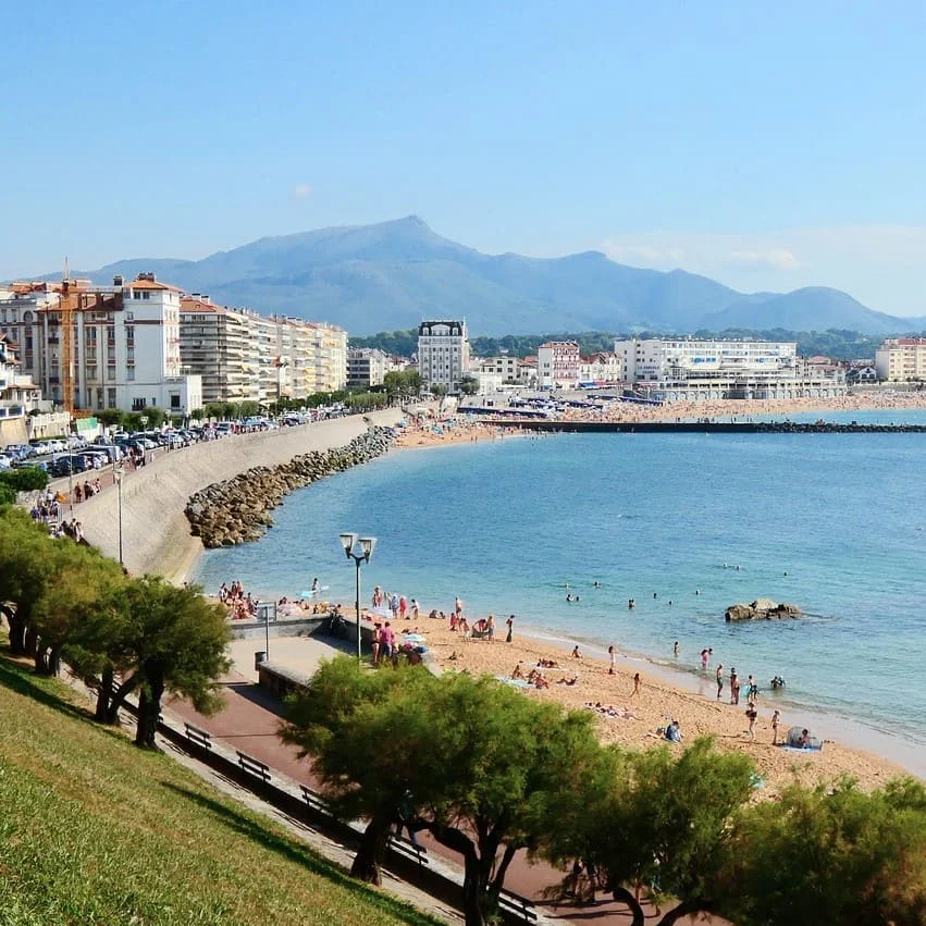 Panorama del idioma euskera
