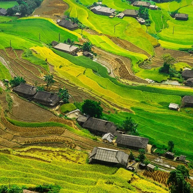 Traducciones Certificadas Rohingya