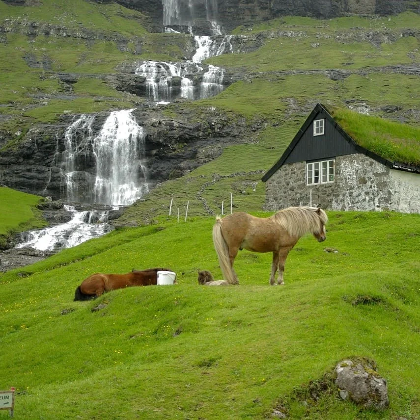 Ventajas De Nuestros Servicios De Traducción Faroese