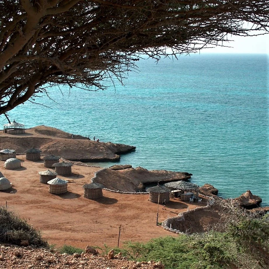 Ventajas de la Empresa de Traducción Somali PoliLingua