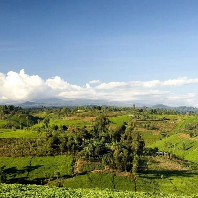 Tamaño del Mercado Swahili-Hablante