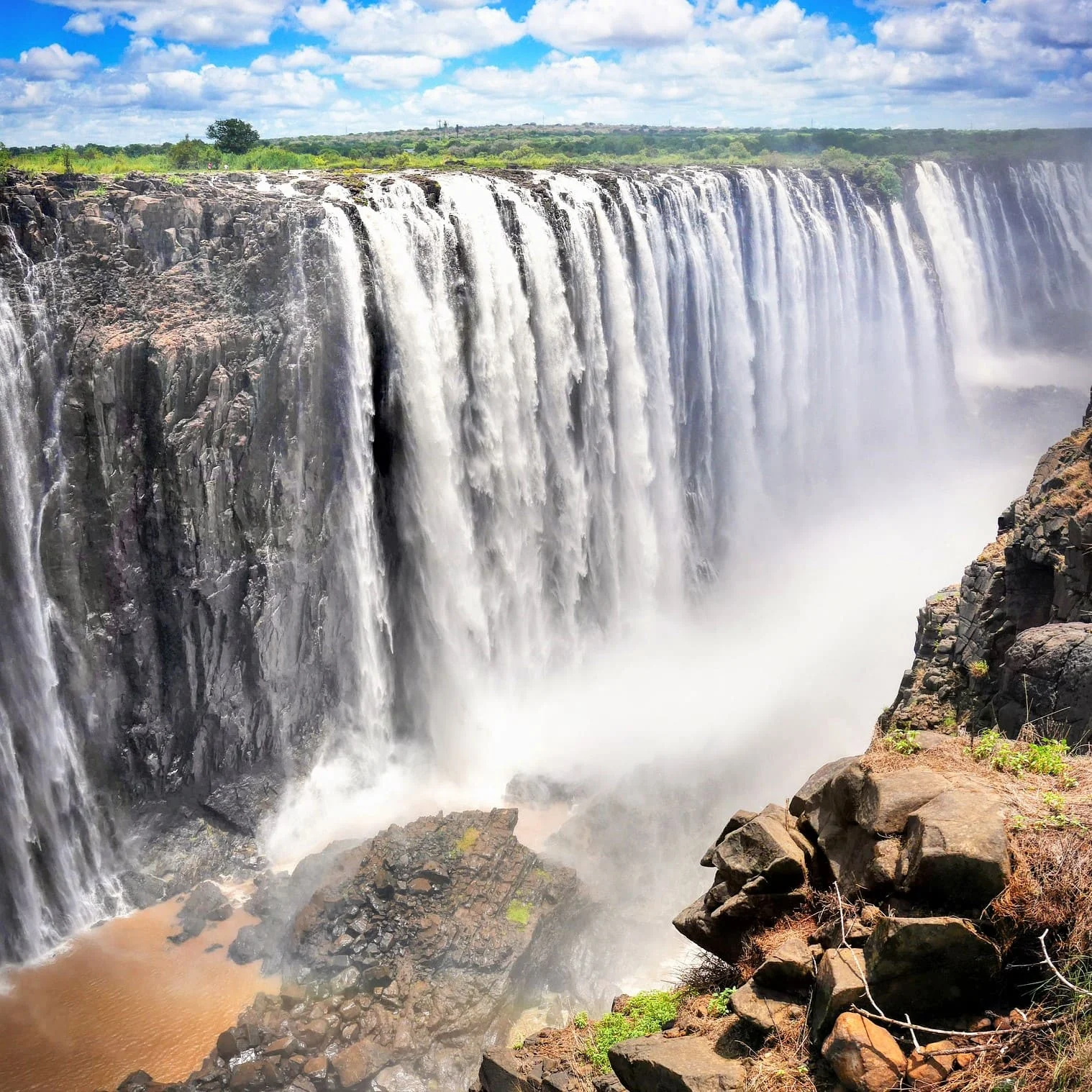 Servicios De Traducción Xhosa