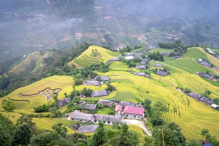 Nuestras Traducciones al Nepalí Según la Industria