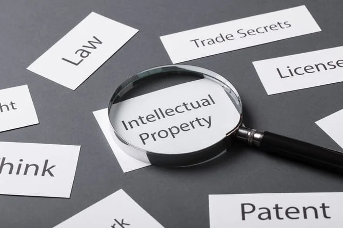 ¿Qué son los Servicios de Traducción de PI?