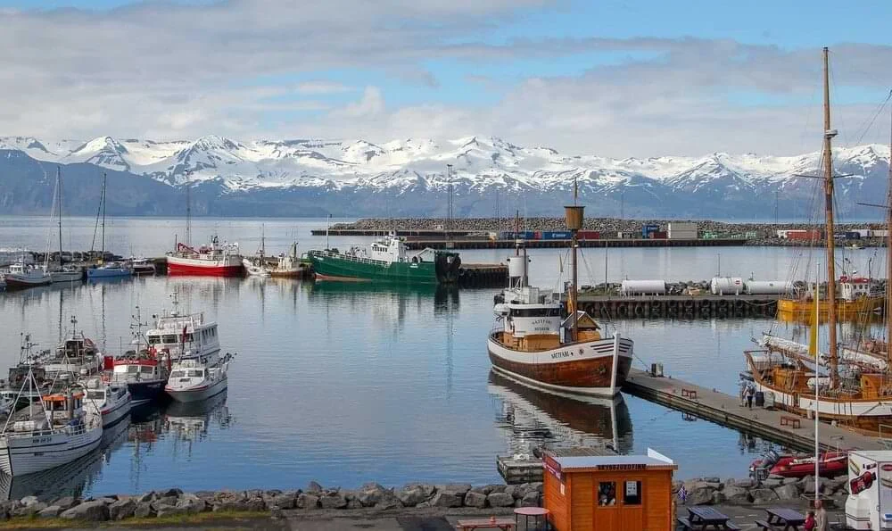 Guía para Traducir del Islandés con Precisión